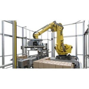 Robotic Palletizing and Packing Applications